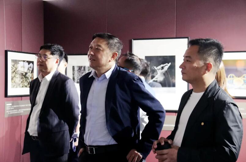 上海新沪商联合会